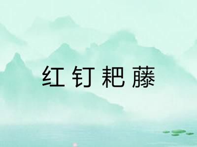 红钉耙藤 红钉耙藤