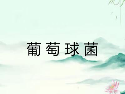 葡萄球菌 葡萄球菌