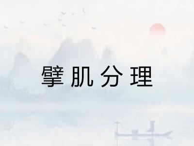 擘肌分理 擘肌分理