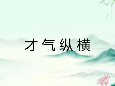 才气纵横 才气纵横