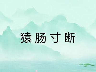 猿肠寸断 猿肠寸断