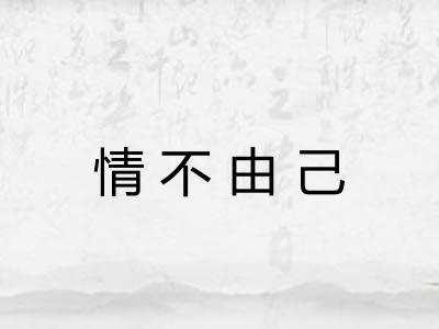 情不由己 情不由己