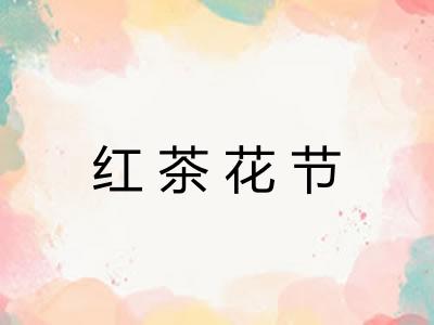 红茶花节 红茶花节