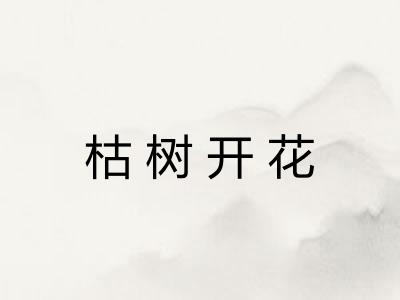 枯树开花 枯树开花