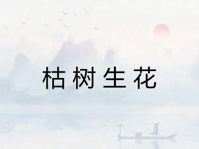 枯树生花 枯树生花