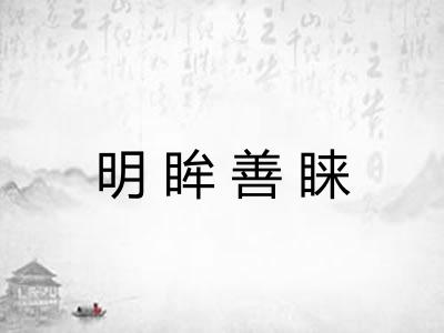 明眸善睐 明眸善睐
