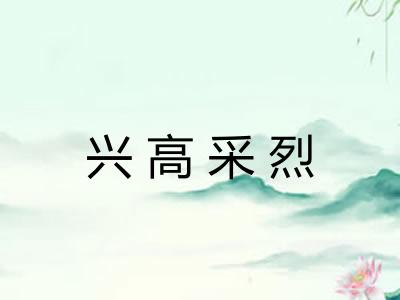 兴高采烈 兴高采烈
