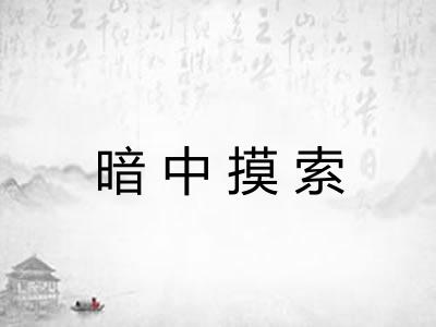 暗中摸索 暗中摸索