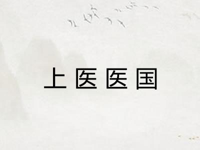 上医医国 上医医国