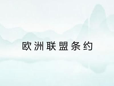 欧洲联盟条约 欧洲联盟条约